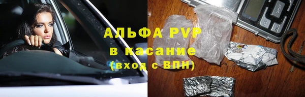 трава Аркадак