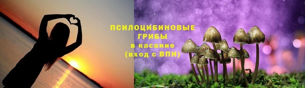 трава Аркадак